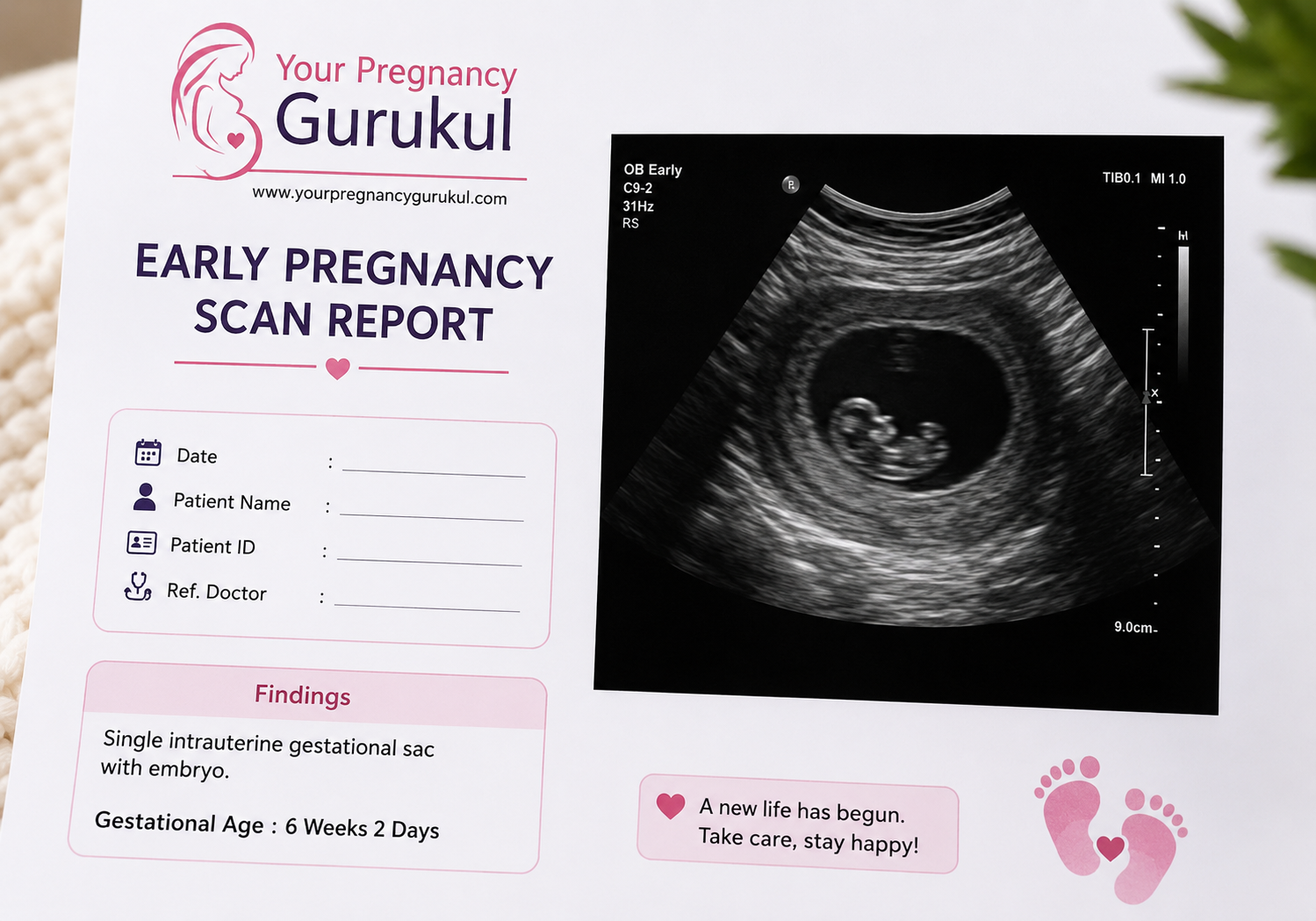 Early Pregnancy Scan Report