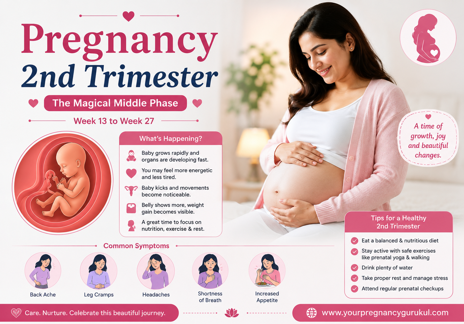 Pregnancy 2nd Trimester